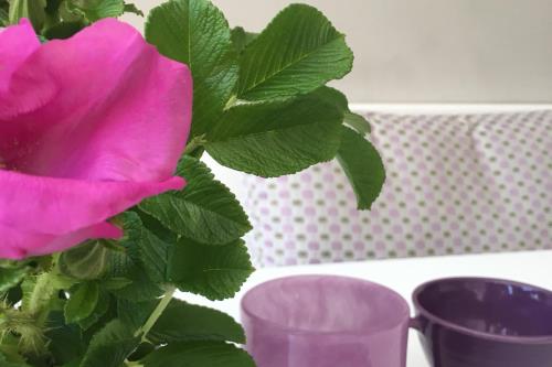 Spiekeroog Ferienwohnung Meerlust