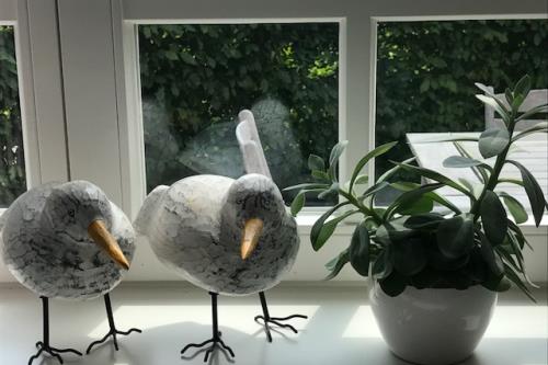 Spiekeroog Ferienwohnung Meerlust