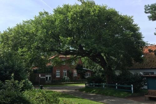 Spiekeroog Ferienwohnung Picks Logierhaus, Neubau App. N3 - Blick von Terrasse