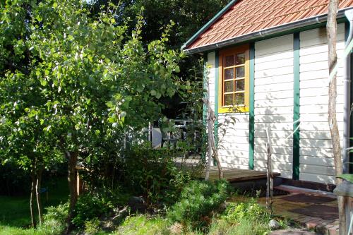 Spiekeroog Ferienhaus Posaunenhaus - 1 - Garten