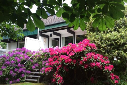 Spiekeroog Ferienhaus Rikes Huus - Die Terrasse