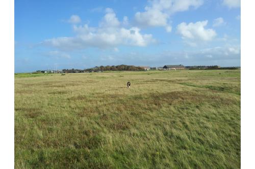 Sylt Ferienwohnung Coop Haus - Westerland - Horstmann 17 O - Umgebung