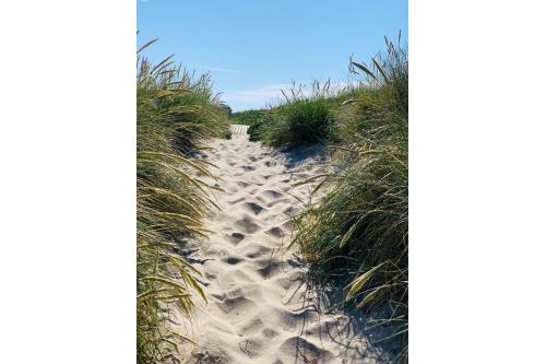 Sylt Ferienwohnung Coop Haus - Westerland - Preetz 32 OB - Strand