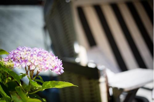 Sylt Ferienwohnung Die Schlosserei - Luxus in der Friedrichstraße