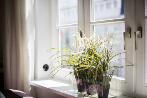 Sylt Ferienwohnung Die Schlosserei - Luxus in der Friedrichstraße