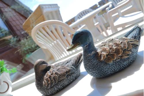 Sylt Ferienwohnung Haus Alice - Westerland - Klotz 32/13 - Ausstattung 3