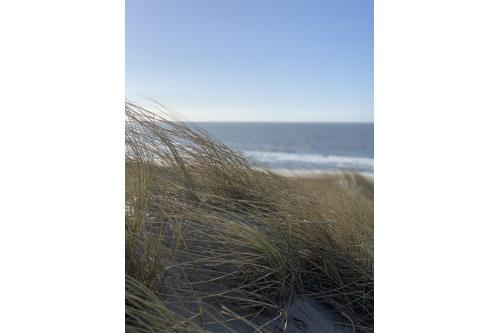 Sylt Ferienwohnung Haus Atlantik - Westerland - Atlantik 1-41 - Thomsen - Syltfotos