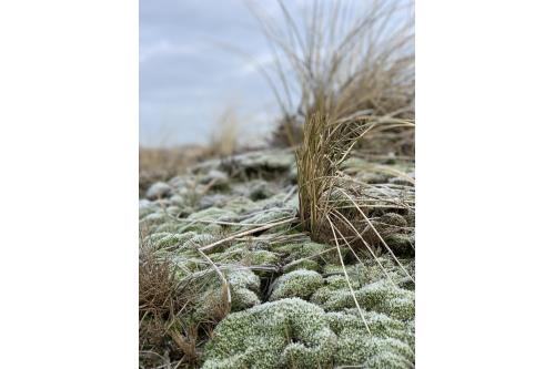 Sylt Ferienwohnung Haus Atlantik - Westerland - Atlantik - Pelzer - Ausstattung 20