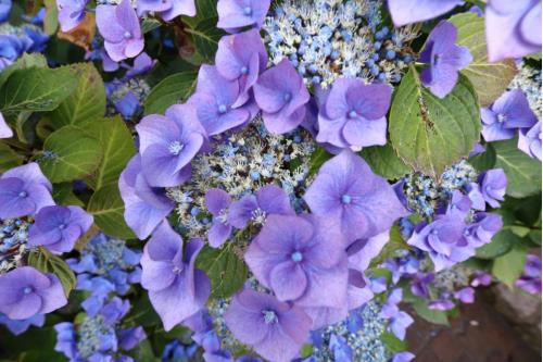 Sylt Ferienhaus Ruusenhoog