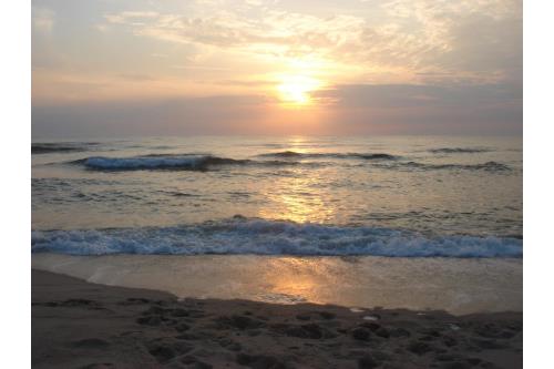 Sylt Ferienwohnung Appartement Morgenroth