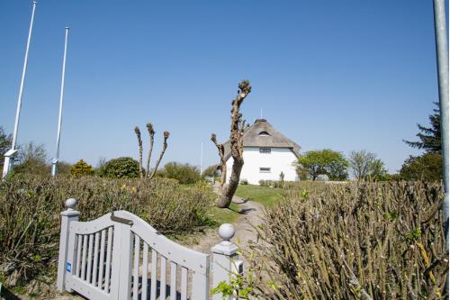 Sylt Ferienwohnung Appartement Wattkoje