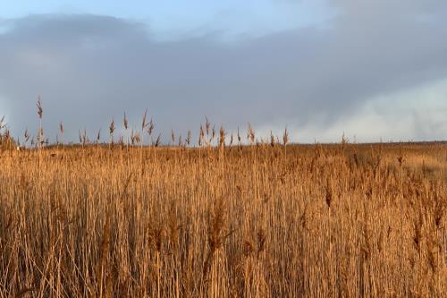 Sylt Ferienwohnungen Strandstraße 22