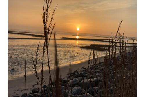 Sylt Ferienwohnung Haus Groth - Appartement Frische Brise - Umgebung