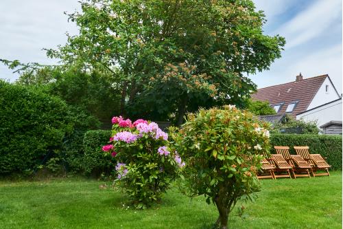 Wangerooge Ferienwohnung Osterdüne 66